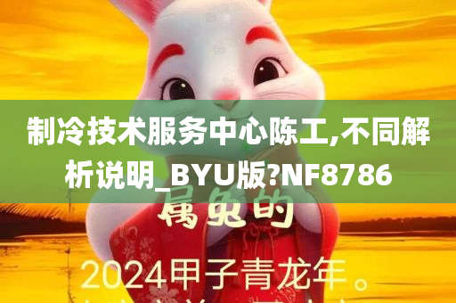 制冷技术服务中心陈工,不同解析说明_BYU版?NF8786