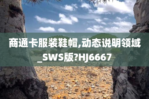 商通卡服装鞋帽,动态说明领域_SWS版?HJ6667