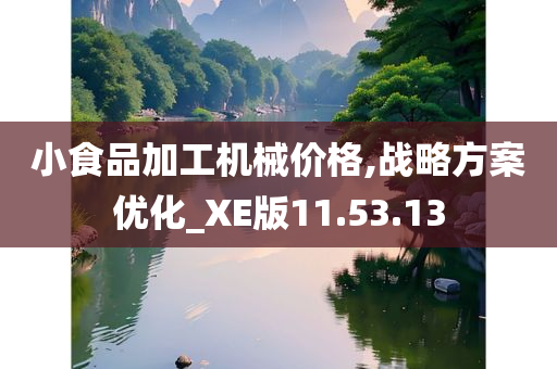 小食品加工机械价格,战略方案优化_XE版11.53.13