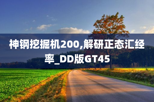 神钢挖掘机200,解研正态汇经率_DD版GT45