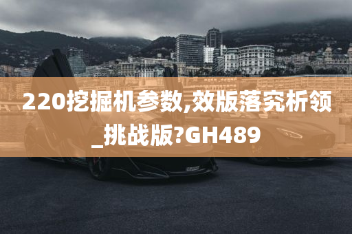 220挖掘机参数,效版落究析领_挑战版?GH489