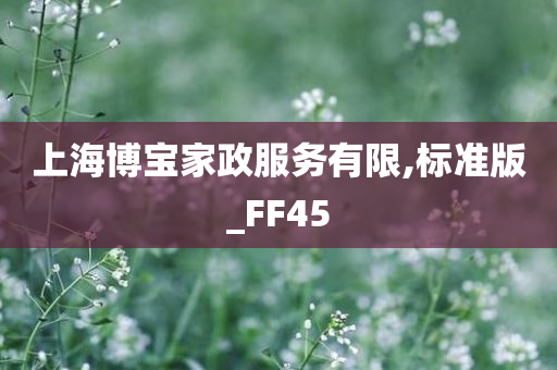 上海博宝家政服务有限,标准版_FF45