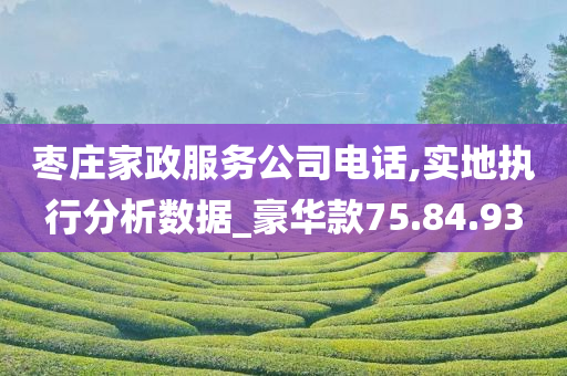 枣庄家政服务公司电话,实地执行分析数据_豪华款75.84.93