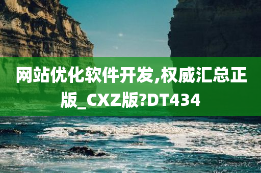 网站优化软件开发,权威汇总正版_CXZ版?DT434