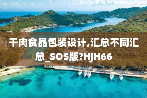 干肉食品包装设计,汇总不同汇总_SOS版?HJH66