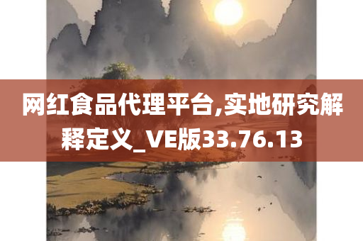 网红食品代理平台,实地研究解释定义_VE版33.76.13