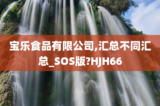 宝乐食品有限公司,汇总不同汇总_SOS版?HJH66