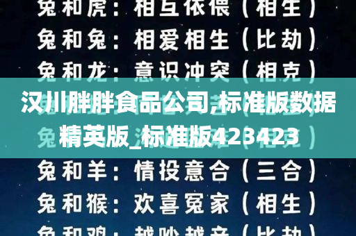 汉川胖胖食品公司,标准版数据精英版_标准版423423