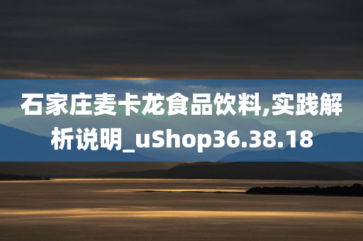 石家庄麦卡龙食品饮料,实践解析说明_uShop36.38.18