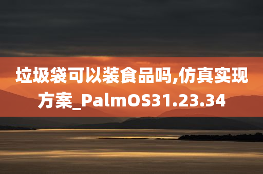 垃圾袋可以装食品吗,仿真实现方案_PalmOS31.23.34