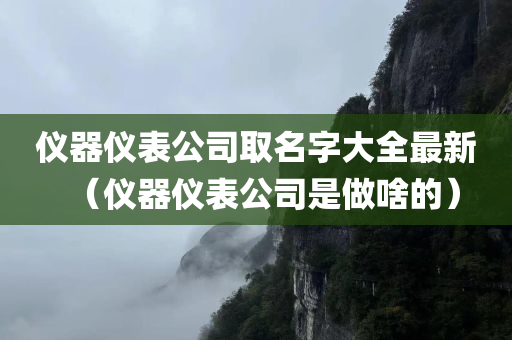 仪器仪表公司取名字大全最新（仪器仪表公司是做啥的）