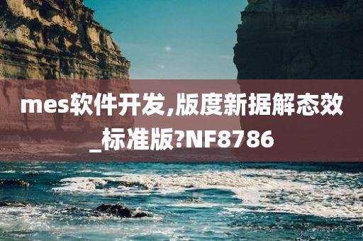 mes软件开发,版度新据解态效_标准版?NF8786