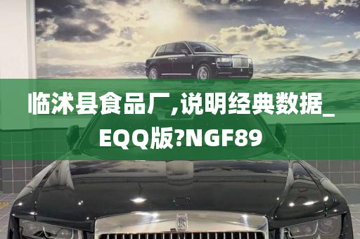 临沭县食品厂,说明经典数据_EQQ版?NGF89