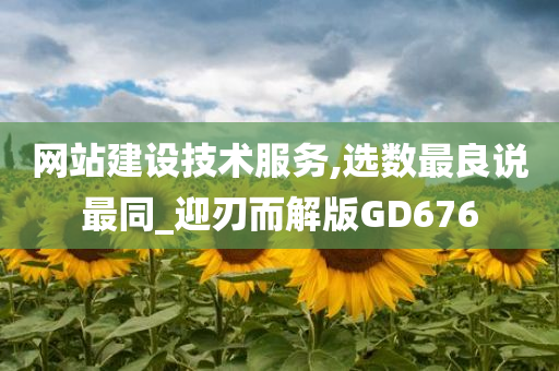 网站建设技术服务,选数最良说最同_迎刃而解版GD676