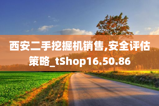 西安二手挖掘机销售,安全评估策略_tShop16.50.86