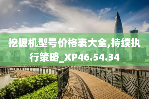 挖掘机型号价格表大全,持续执行策略_XP46.54.34