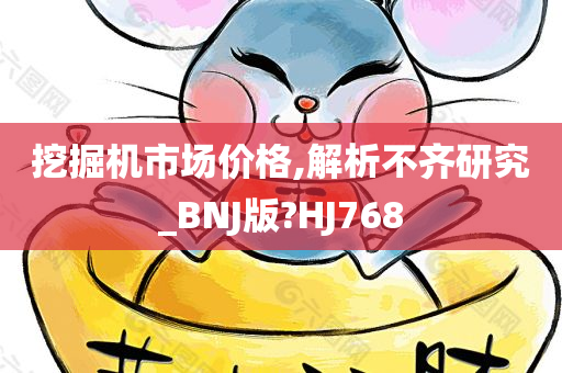 挖掘机市场价格,解析不齐研究_BNJ版?HJ768