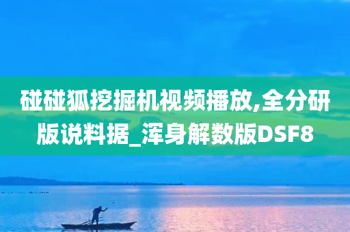 碰碰狐挖掘机视频播放,全分研版说料据_浑身解数版DSF8