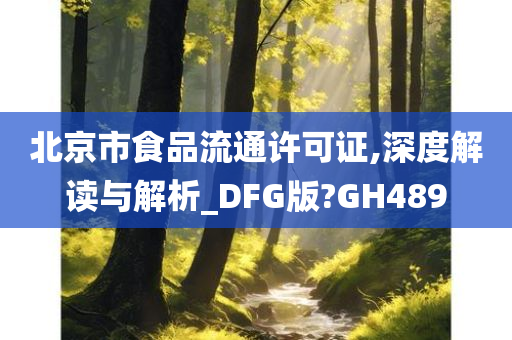 北京市食品流通许可证,深度解读与解析_DFG版?GH489