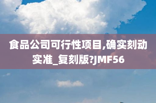 食品公司可行性项目,确实刻动实准_复刻版?JMF56