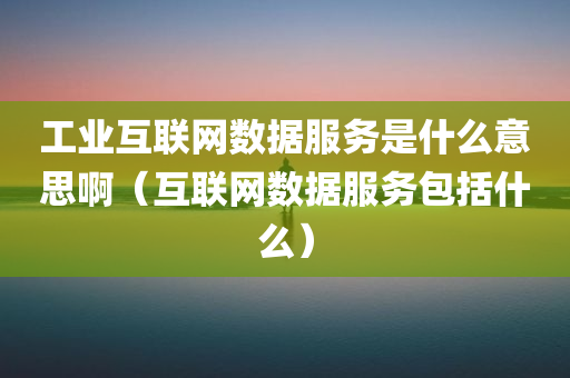 工业互联网数据服务是什么意思啊（互联网数据服务包括什么）