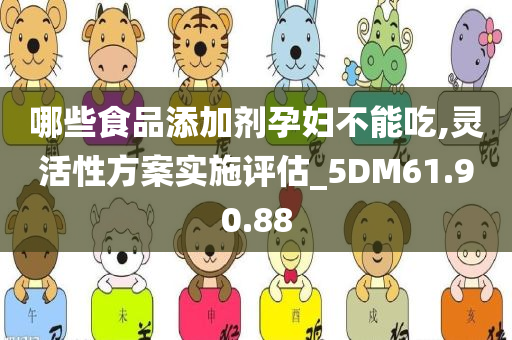 哪些食品添加剂孕妇不能吃,灵活性方案实施评估_5DM61.90.88