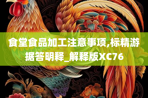 食堂食品加工注意事项,标精游据答明释_解释版XC76