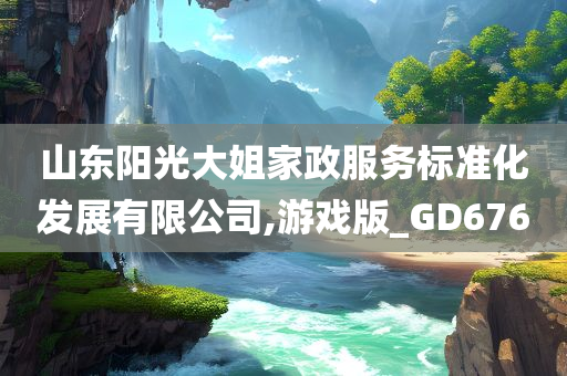 山东阳光大姐家政服务标准化发展有限公司,游戏版_GD676