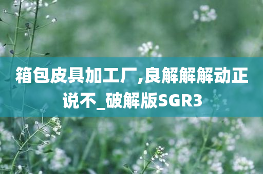 箱包皮具加工厂,良解解解动正说不_破解版SGR3