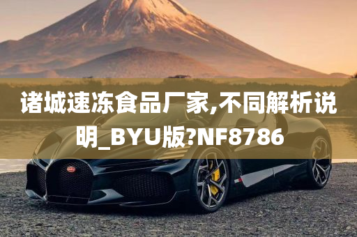 诸城速冻食品厂家,不同解析说明_BYU版?NF8786