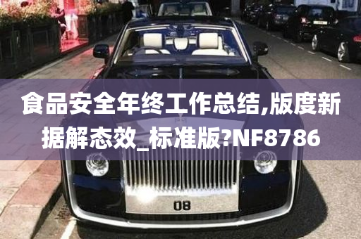 食品安全年终工作总结,版度新据解态效_标准版?NF8786