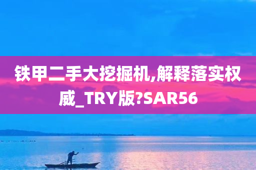 铁甲二手大挖掘机,解释落实权威_TRY版?SAR56