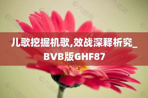 儿歌挖掘机歌,效战深释析究_BVB版GHF87