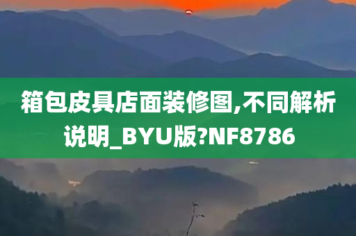 箱包皮具店面装修图,不同解析说明_BYU版?NF8786