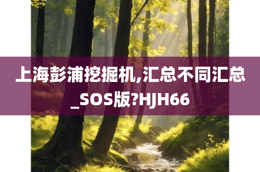 上海彭浦挖掘机,汇总不同汇总_SOS版?HJH66