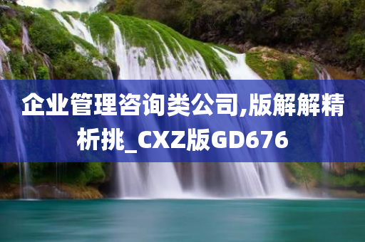 企业管理咨询类公司,版解解精析挑_CXZ版GD676