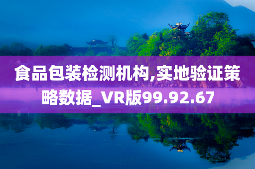 食品包装检测机构,实地验证策略数据_VR版99.92.67