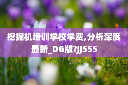 挖掘机培训学校学费,分析深度最新_DG版?JJ555