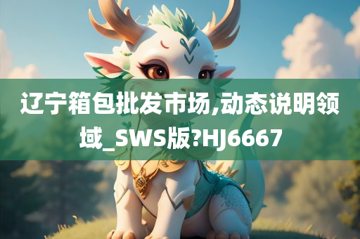 辽宁箱包批发市场,动态说明领域_SWS版?HJ6667