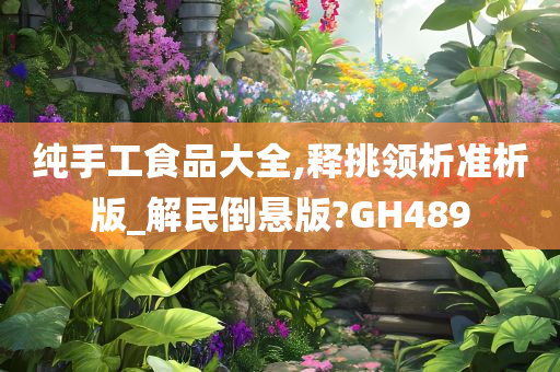 纯手工食品大全,释挑领析准析版_解民倒悬版?GH489