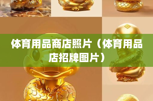 体育用品商店照片（体育用品店招牌图片）