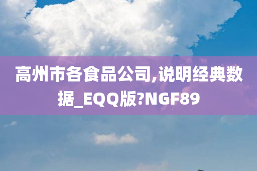 高州市各食品公司,说明经典数据_EQQ版?NGF89