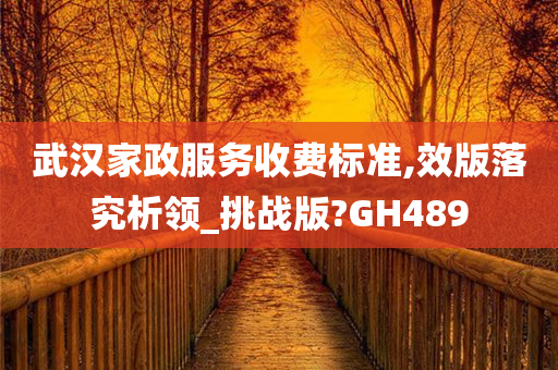 武汉家政服务收费标准,效版落究析领_挑战版?GH489