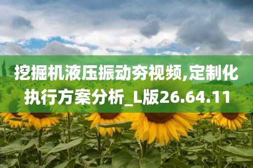 挖掘机液压振动夯视频,定制化执行方案分析_L版26.64.11