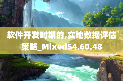 软件开发时期的,实地数据评估策略_Mixed54.60.48