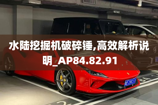 水陆挖掘机破碎锤,高效解析说明_AP84.82.91