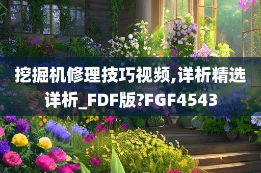 挖掘机修理技巧视频,详析精选详析_FDF版?FGF4543