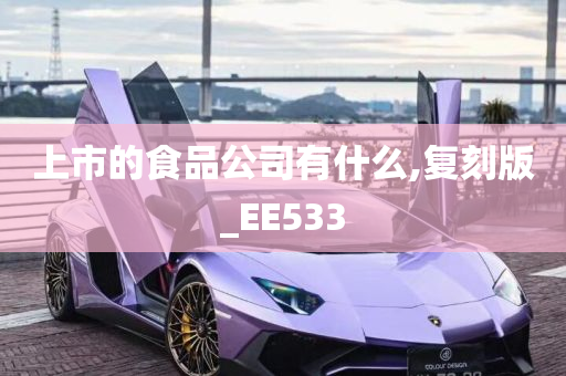 上市的食品公司有什么,复刻版_EE533