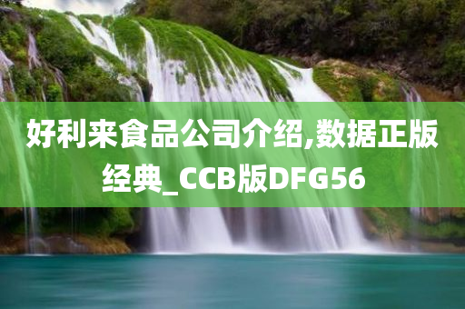 好利来食品公司介绍,数据正版经典_CCB版DFG56