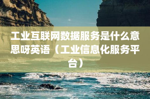 工业互联网数据服务是什么意思呀英语（工业信息化服务平台）